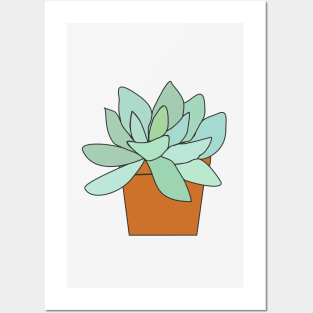 succulent in a pot Posters and Art